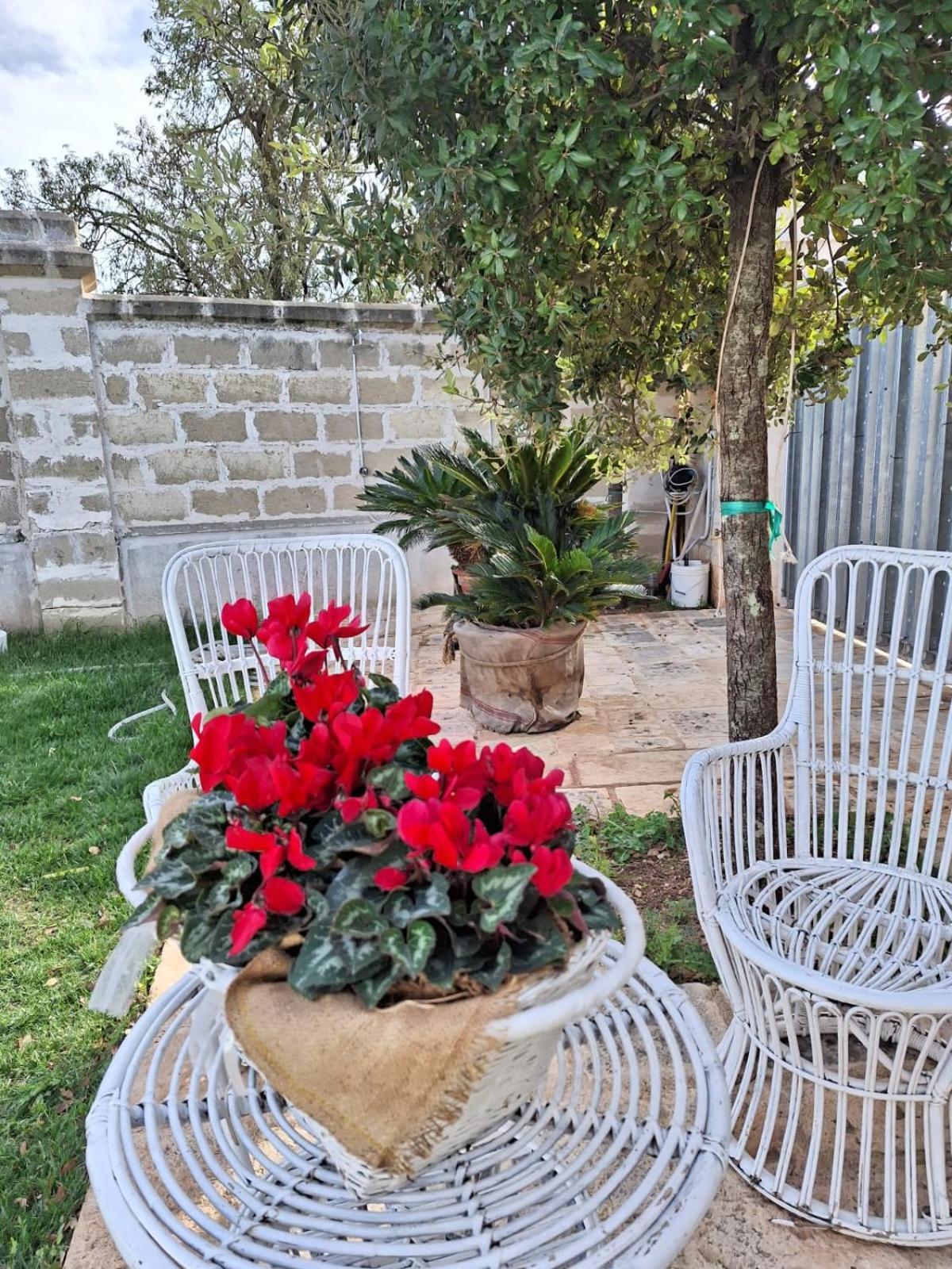 B&B Le Torri Santeramo in Colle Exterior photo